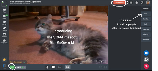 picture shows screen with a cat lying on the floor looking up.  Caption says 'introducing The SOMA mascot, Ms. MeOw-n-M'